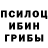 Псилоцибиновые грибы Cubensis Nadira Sabyrzhan
