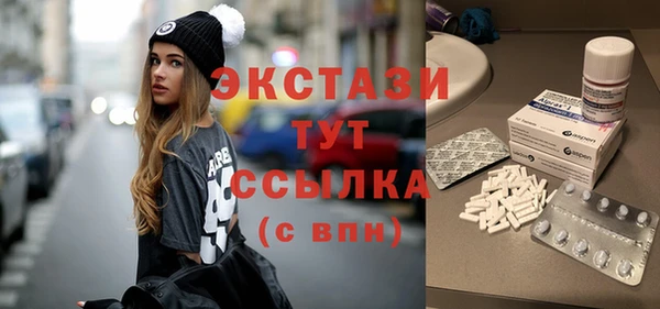 крисы Мегион