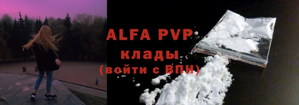крисы Мегион