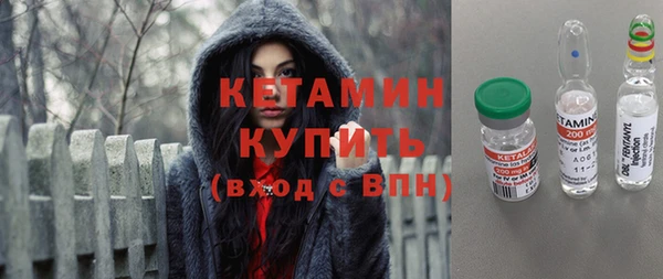 крисы Мегион