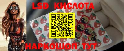 амф Дубна