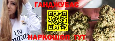 гашик Донской