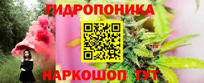 гидра Аргун