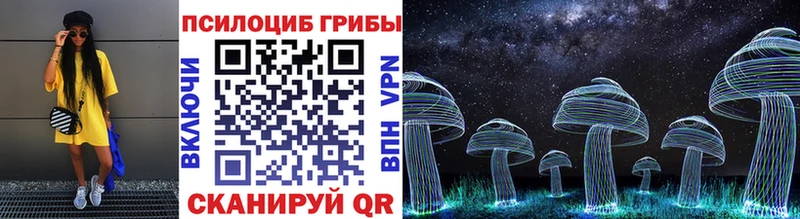 Псилоцибиновые грибы Cubensis  Купить закладки  Нерюнгри 