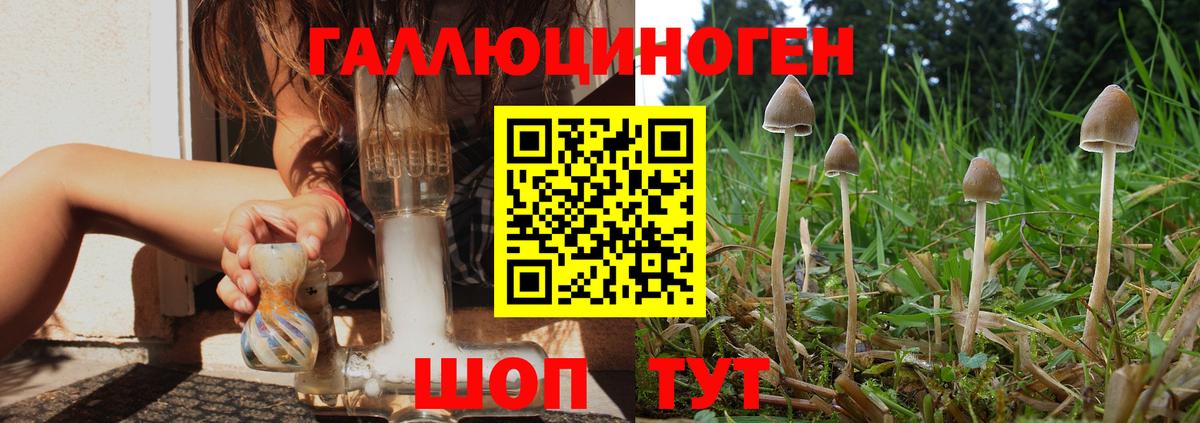 Галлюциногенные грибы мухоморы  купить наркоту  Нерюнгри  Галлюциногенные грибы Cubensis 