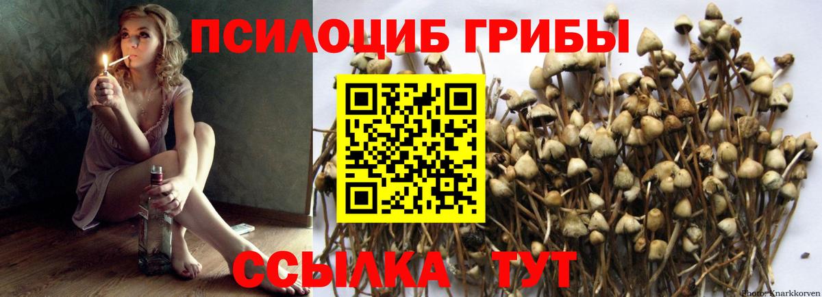 Галлюциногенные грибы MAGIC MUSHROOMS  Вход с VPN  Нерюнгри 